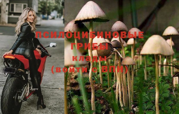 альфа пвп Пролетарск