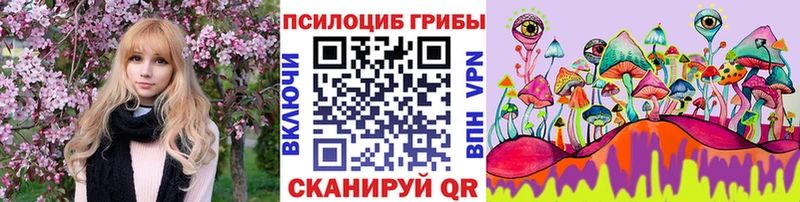 Псилоцибиновые грибы Cubensis  ОМГ ОМГ вход  Юрьевец 